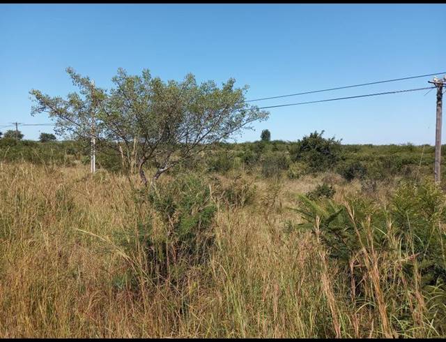 LAND FOR SALE IN MAVAMBE